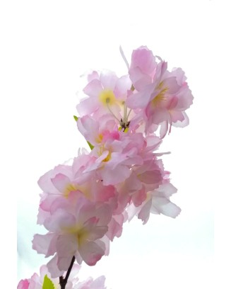 Vara de durazno blossom rosa 110cm
