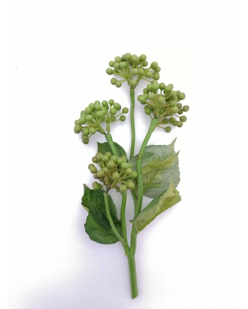 Vara de semillas de pirul verde de 35cm de altura