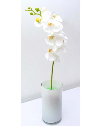 Orquídea 7 flores y un botón 60cm