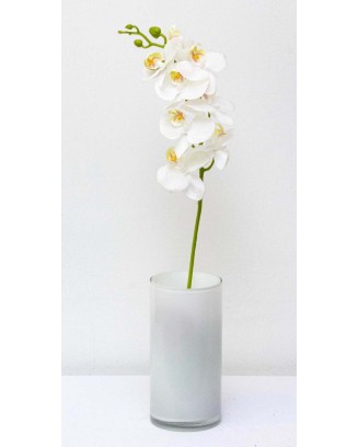 Orquídea 7 flores y un botón 60cm