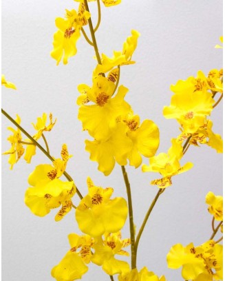 Orquídea Oncidium 85cm...