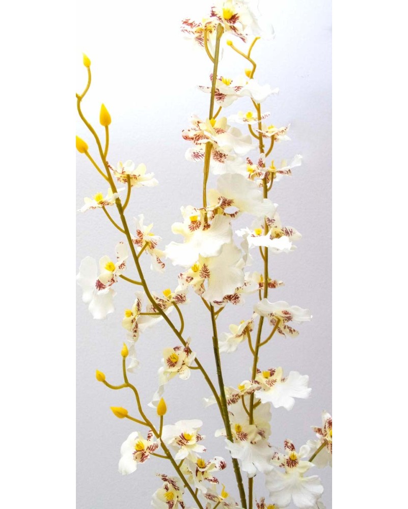 Orquídea Oncidium 85cm largo: amarilla y blanca
