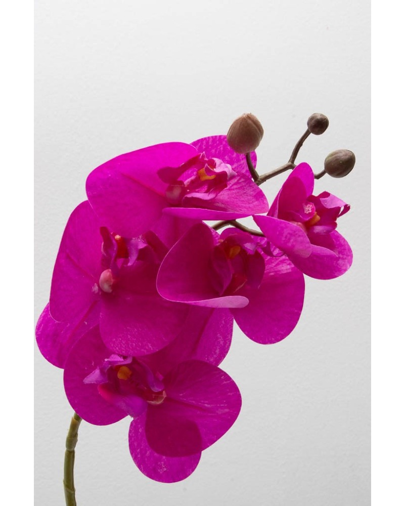 Orquídea Phalaenopsis 4 flores 40cm, tres colores.