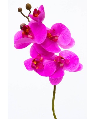 Orquídea Phalaenopsis 4 flores 40cm, tres colores.