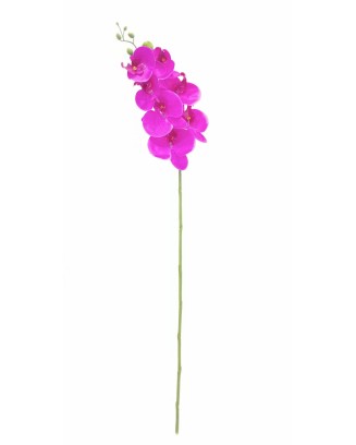 Orquídea phalaenopsis 7 flores 90cm, morada y lila