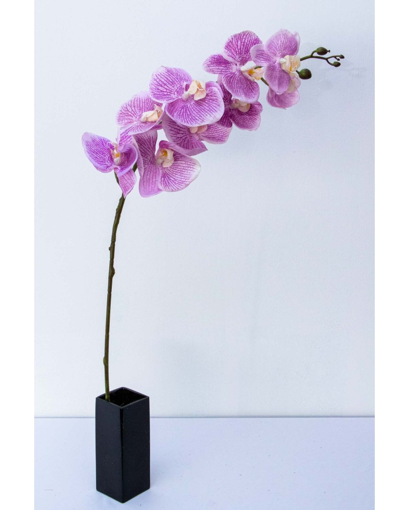 Orquidea Tary 110cm altura, varios colores