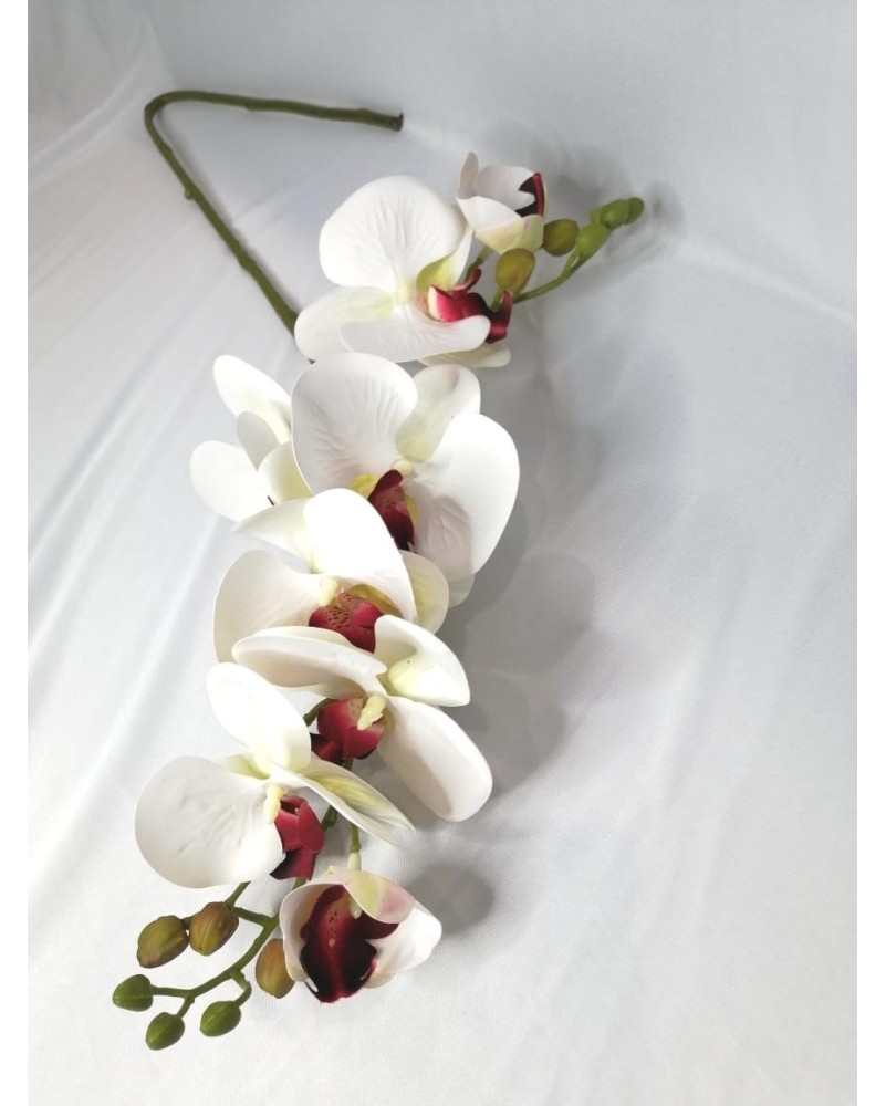 Vara de phalaenopsis tild 80cm largo, dos colores