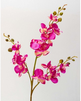 Vara orquídea Niux, dos colores