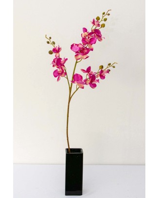 Vara orquídea Niux, dos colores