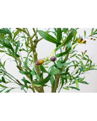Árbol de olivo 170 cm del altura