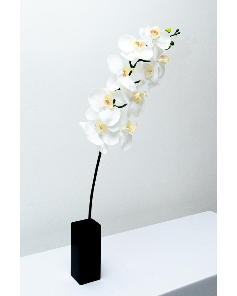 Orquídea phalaenopsis Sisly 9 flores de 100cm largo