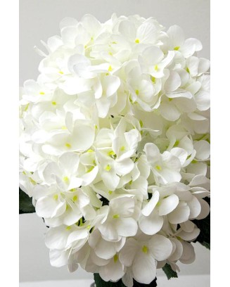Ramo hortensia vintage blanco