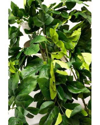 Colgante passiflora 120cm largo, dos colores