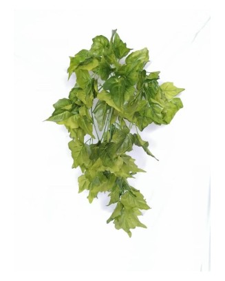 Follaje colgante hiedra clara 80cm largo 65 hojas