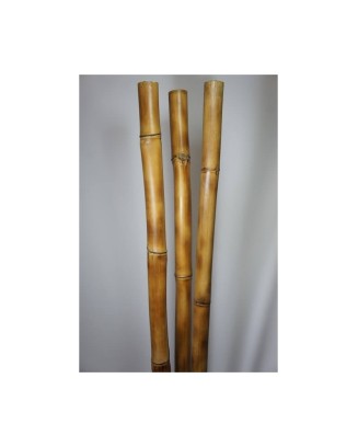 Vara de bambu natural 3-4cm