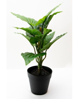Plantita hoja elegante textura natural en maceta 35cm altura