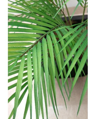 Palmita de 90cm con 9 hojas