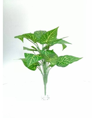Planta Calathea Lousiae 58cm largo