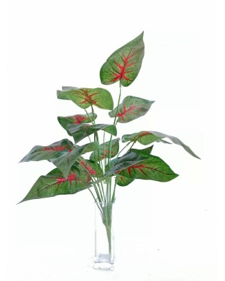 Planta calathea rosea roja 58cm largo