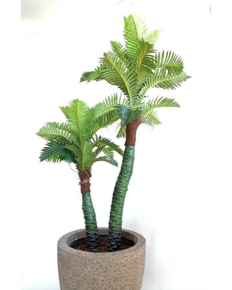 Palma acacia 150 cm altura (precio no incluye maceta)