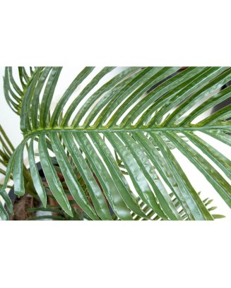 Palmita 100 cm (sin maceta)