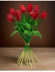 Ramo de tulipanes con 10 flores