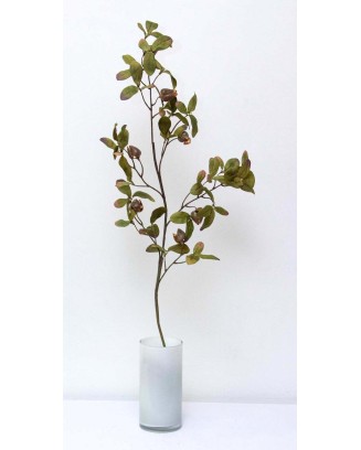 Vara evergreen con frutos 95cm