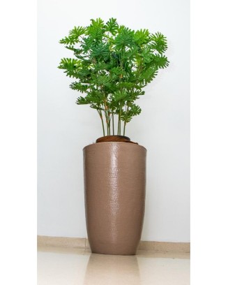 Planta philodendrom de 100 cm de altura