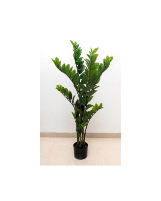Planta zamifolia 115 cm
