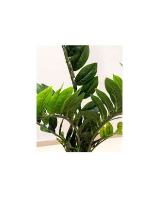 Planta zamifolia 115 cm