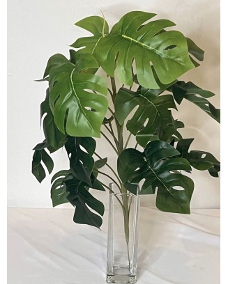 Planta mostera 47cm con protección UV