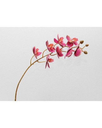 Orquídea phalaenopsis de 8 flores, 80cm largo