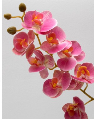 Orquídea phalaenopsis de 8 flores, 80cm largo