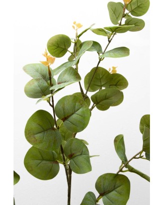 Vara de eucalipto 88cm, color verde-rojizo y cenizo