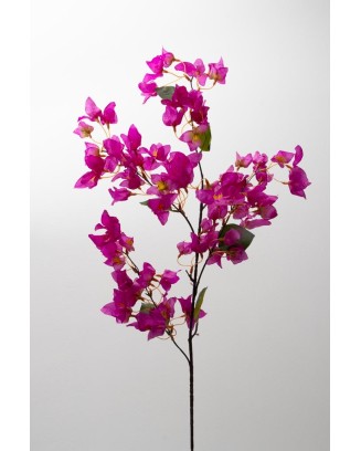 Bugambilia peruviana 100cm, varios colores