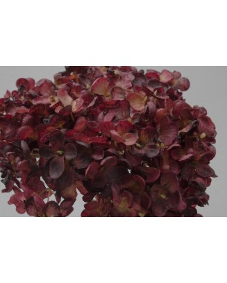 Ramillete de hortensia china 34cm altura soft touch, varios colores