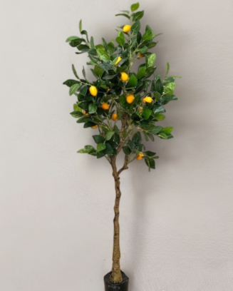 Árbol de limones 150 cm