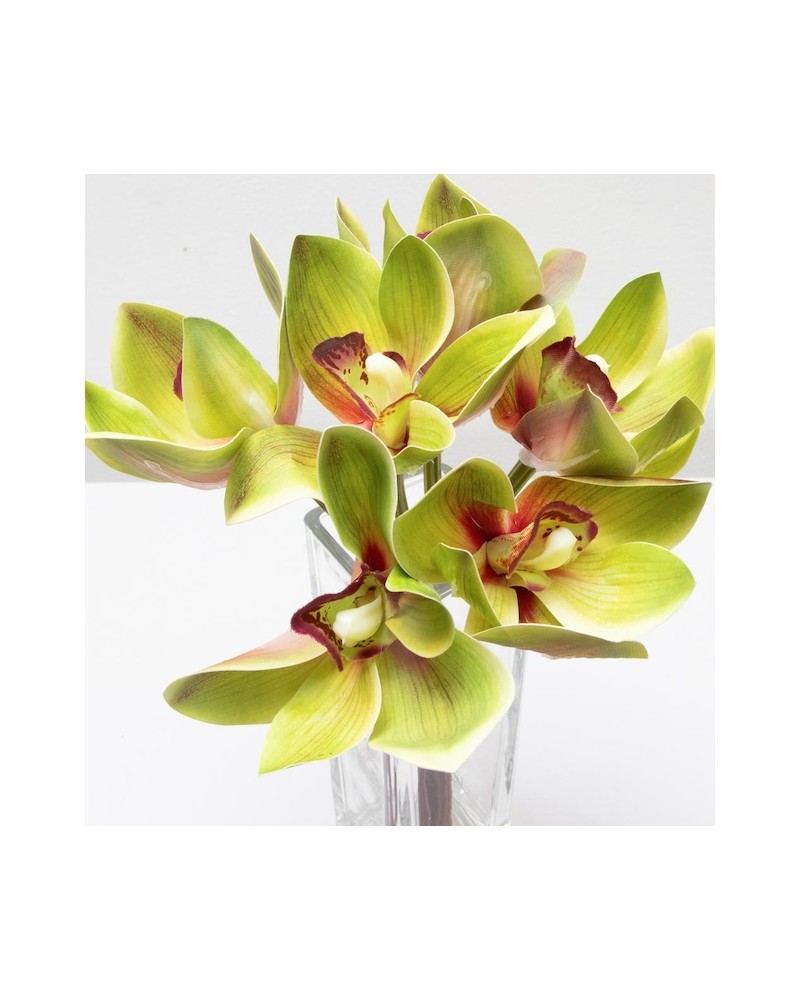 Ramillete de cymbidium, varios colores