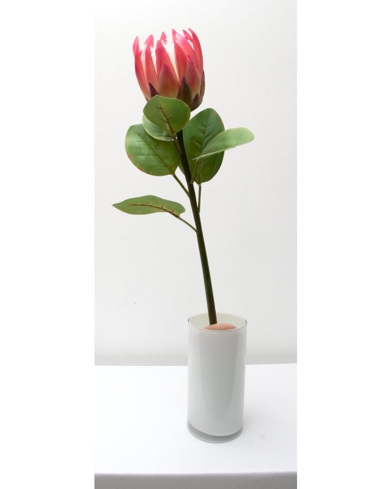 Vara de protea con hojas 65cm, varios colores