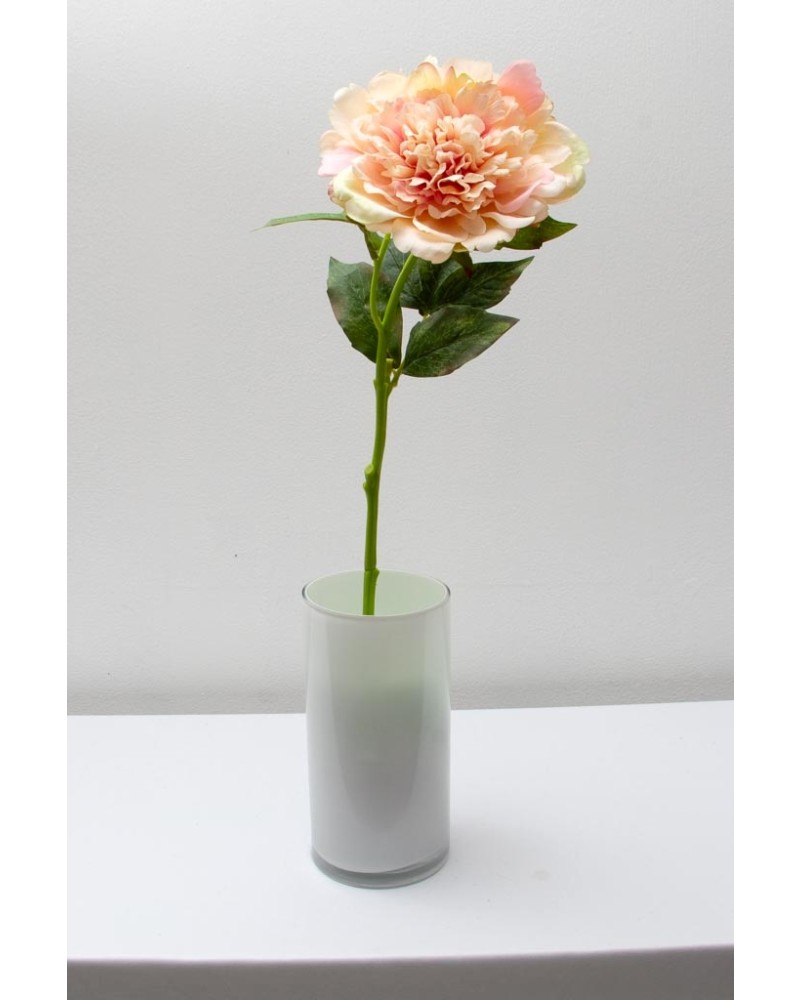 Peonia china 56cm, varios colores