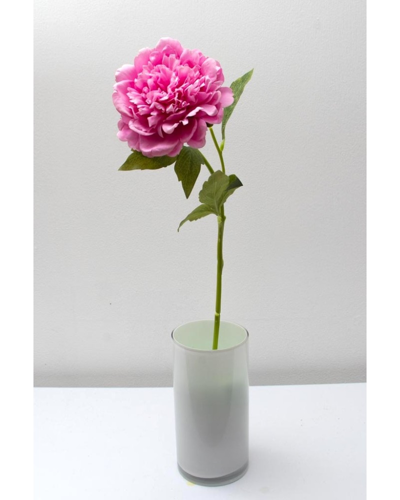 Peonia china 56cm, varios colores