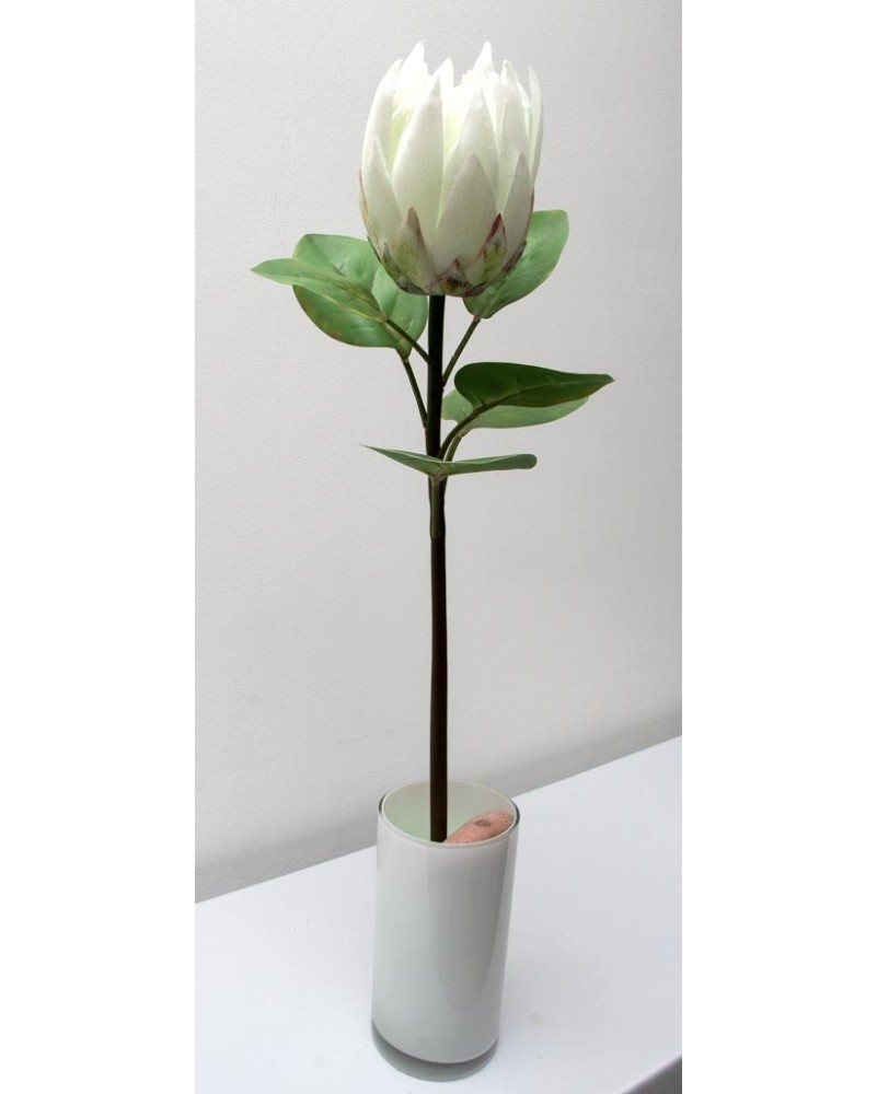 Vara de protea con hojas 65cm, varios colores