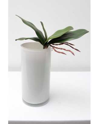 Follaje de orquídea soft touch: 16, 20 y 25 cm de altura
