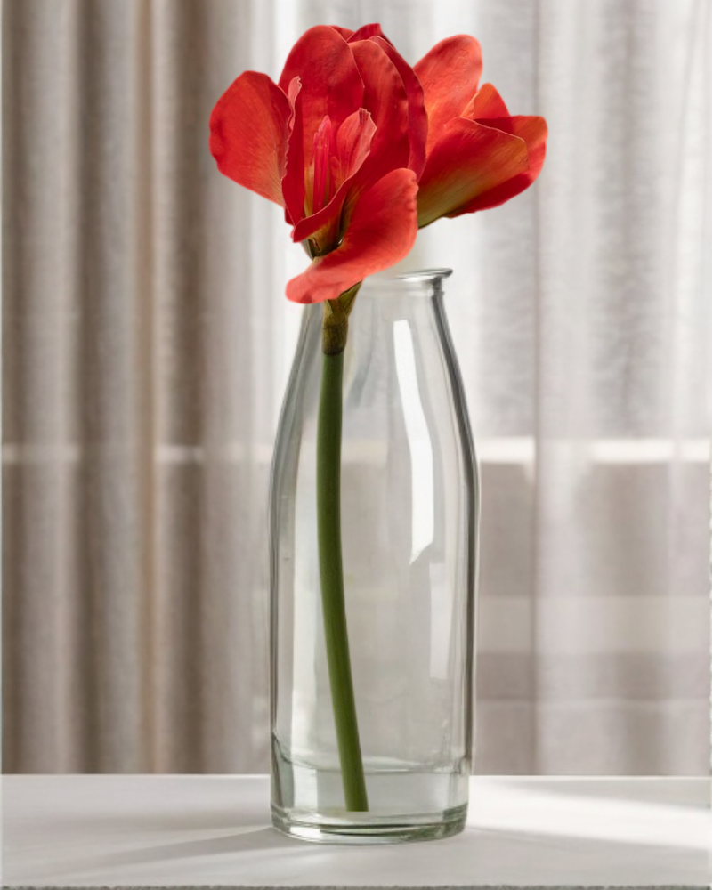 Amarilys roja 75cm