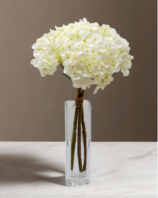 Ramillete de hortensia...