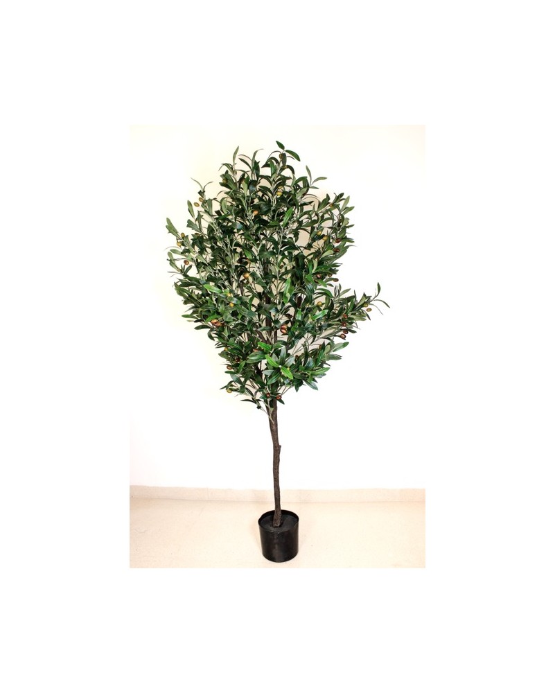 Arbol de olivo 160cm altura con maceta