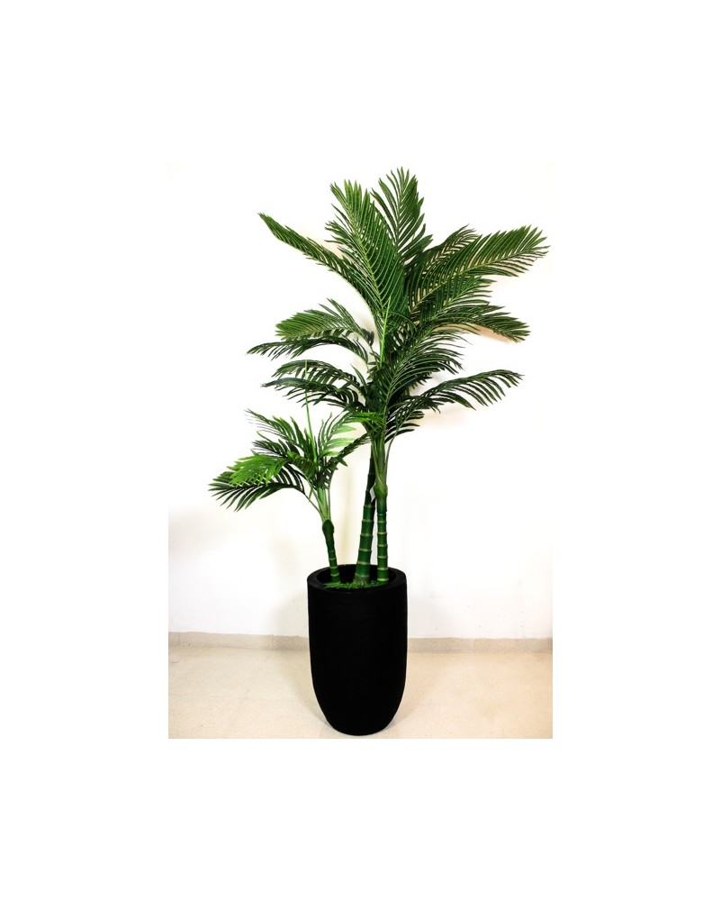 Palma areca 180cm de altura (no incluye maceta)