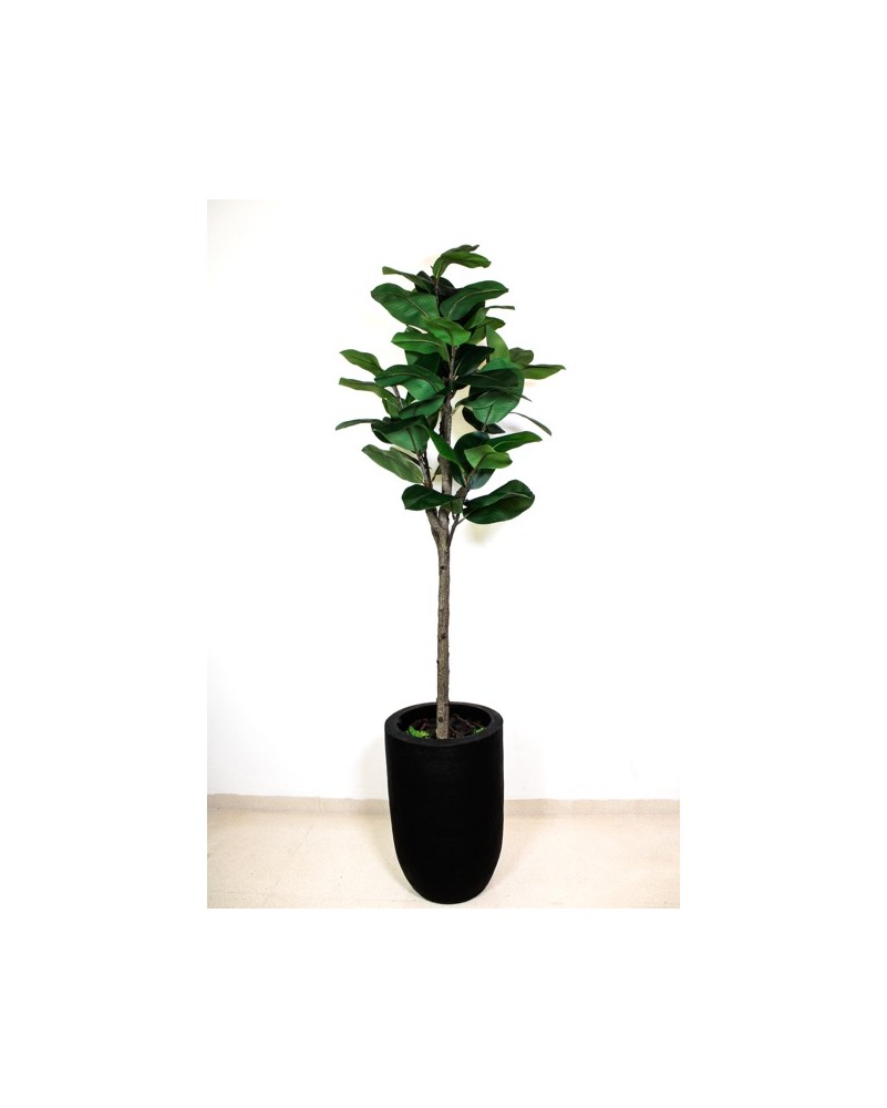 Planta de hule 180cm (sin maceta)