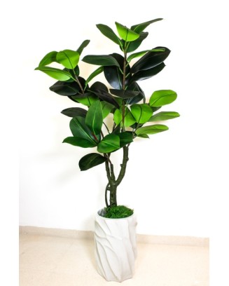 Planta de hule 130cm (sin...