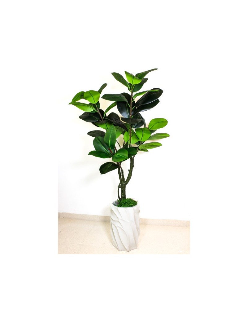 Planta de hule 130cm (sin maceta)